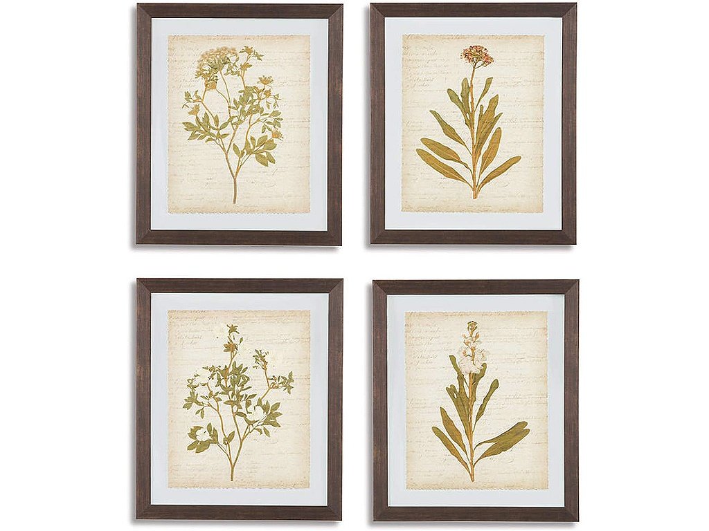 Dyani Wall Art (Set of 4)