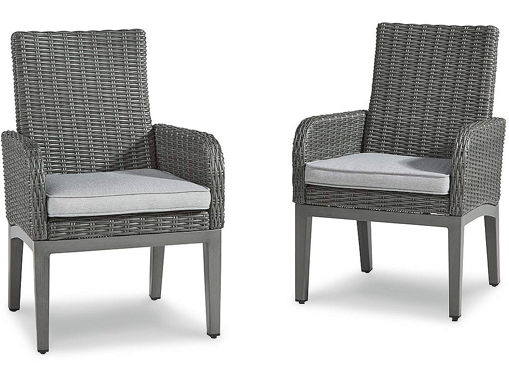 Elite Park Arm Chair with Cushion (Set of 2)