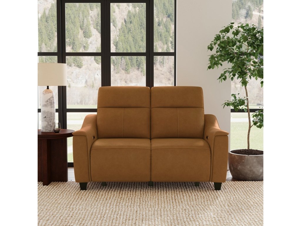Walter Honey Leather Power Reclining Loveseat with Power Headrests